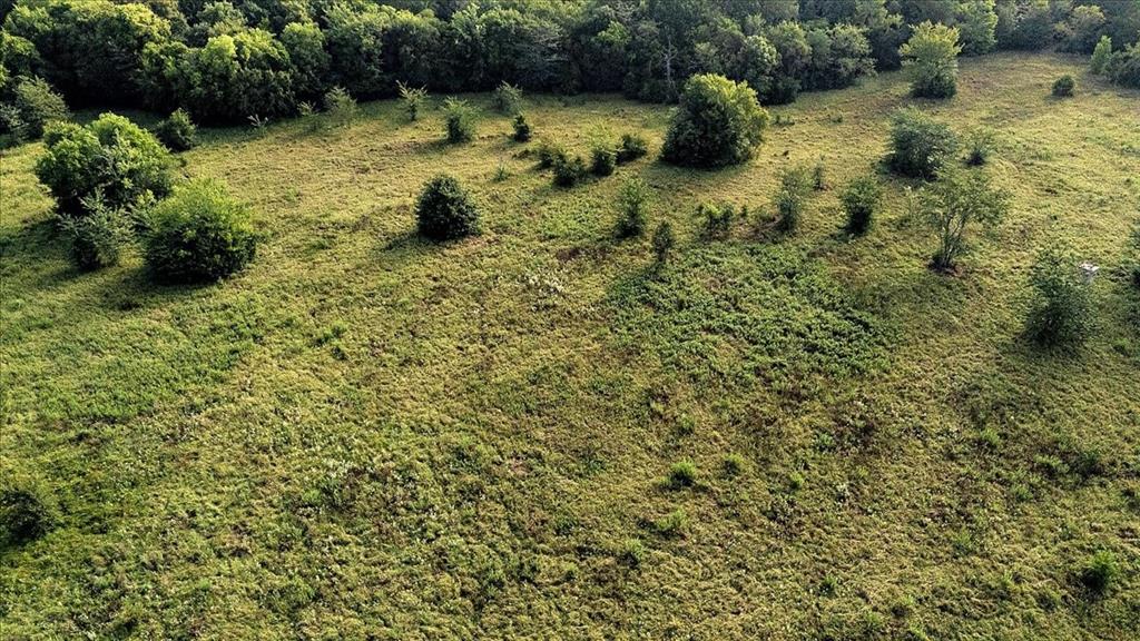 496 County Road 496 Lindale, TX 75706 - Photo 9 of 12