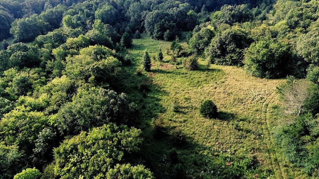 496 County Road 496 Lindale, TX 75706 - Photo 10 of 12