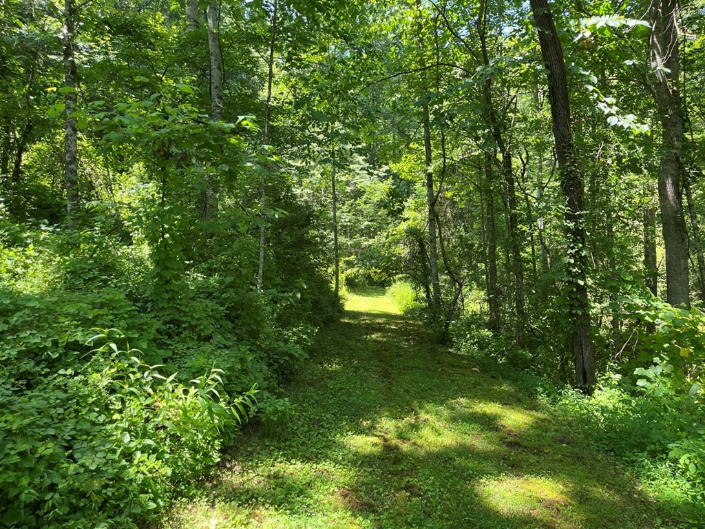 216 Harper Road Murphy, NC 28906 - Photo 27 of 28