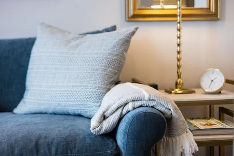 a living room with furniture and a potted plant
