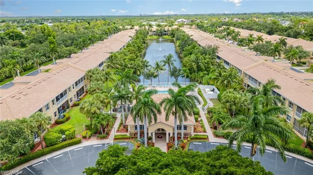 a view of a yard with plants