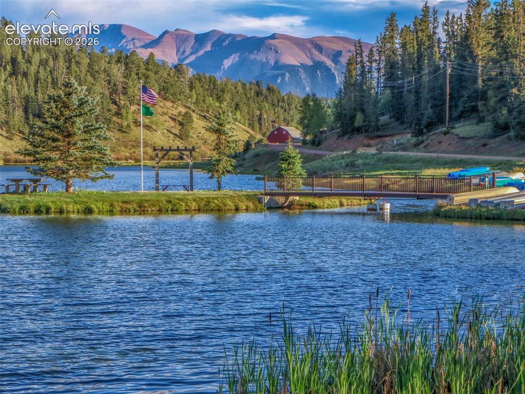 996 Spring Valley Drive Divide, CO 80814 - Photo 39 of 47 Stock Photo