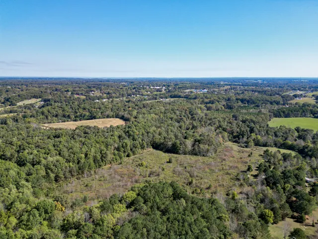 $399,000 | 0 Buffalo Road, Summertown, TN 38483