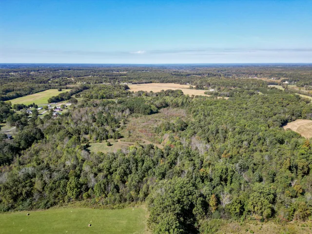 $399,000 | 0 Buffalo Road, Summertown, TN 38483