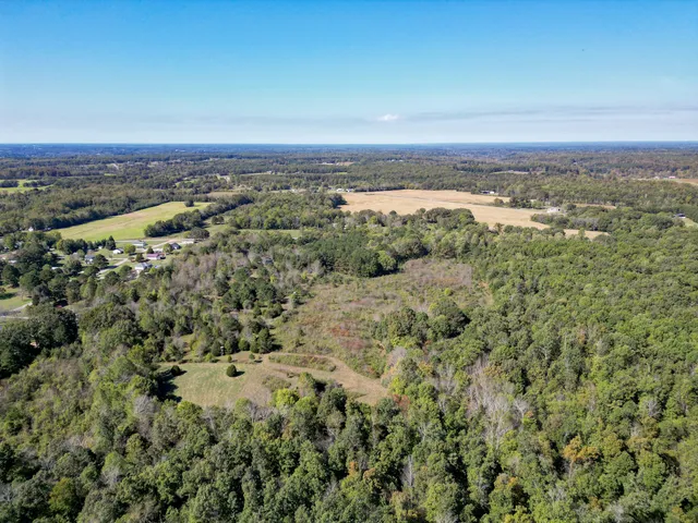 $399,000 | 0 Buffalo Road, Summertown, TN 38483