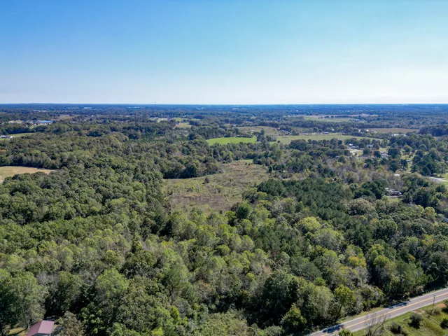 $399,000 | 0 Buffalo Road, Summertown, TN 38483