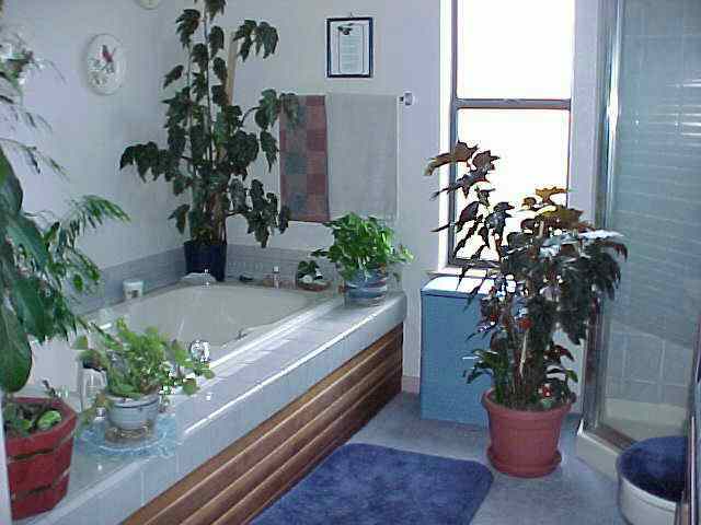 602 Bluerock Road Gardnerville, NV 89460 - Photo 7 of 9 Gallery Image 7