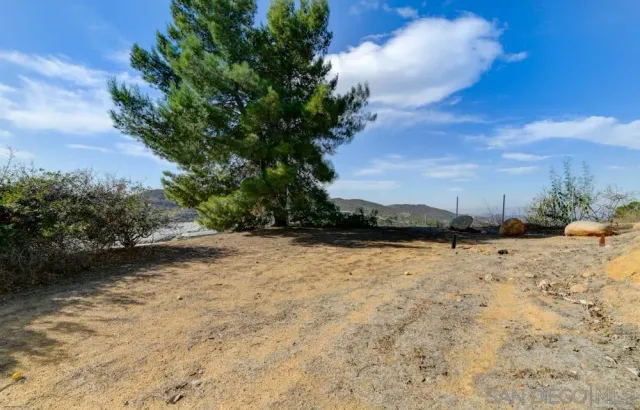 a view of a yard with a tree