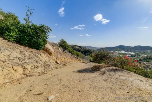 a view of a forest with mountains in the background