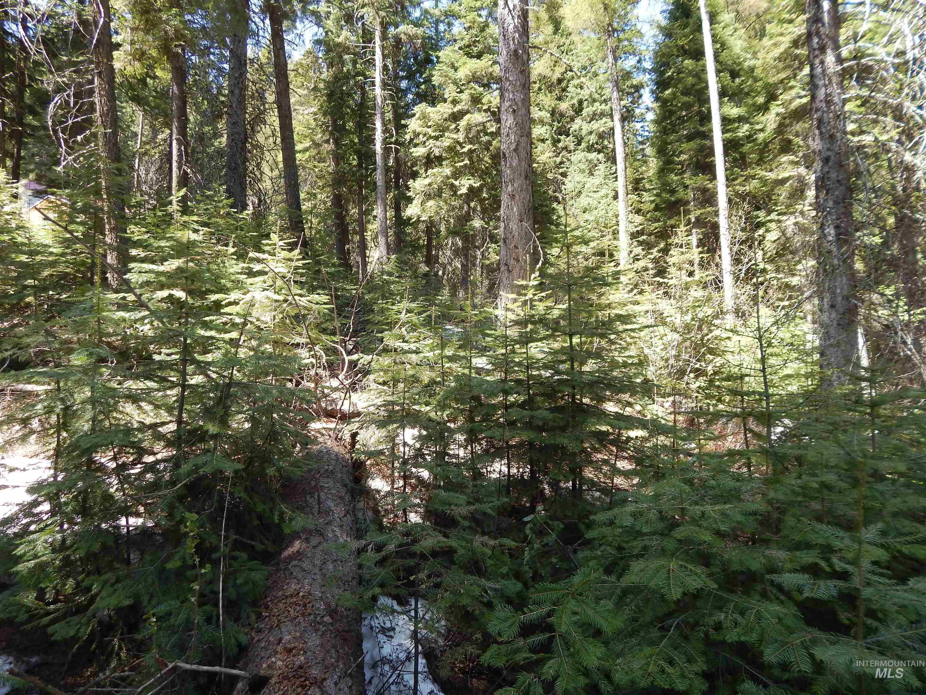 1601 Bear Trail Loop Cascade, ID 83611 - Photo 16 of 26