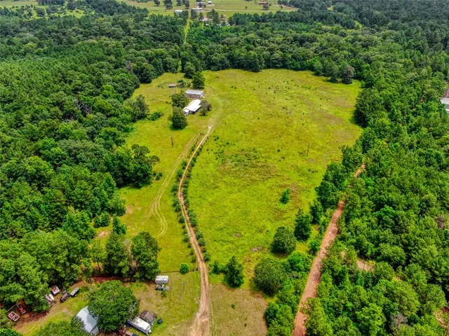 a view of a yard with plants