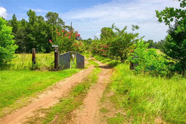 a yellow house with lots of trees
