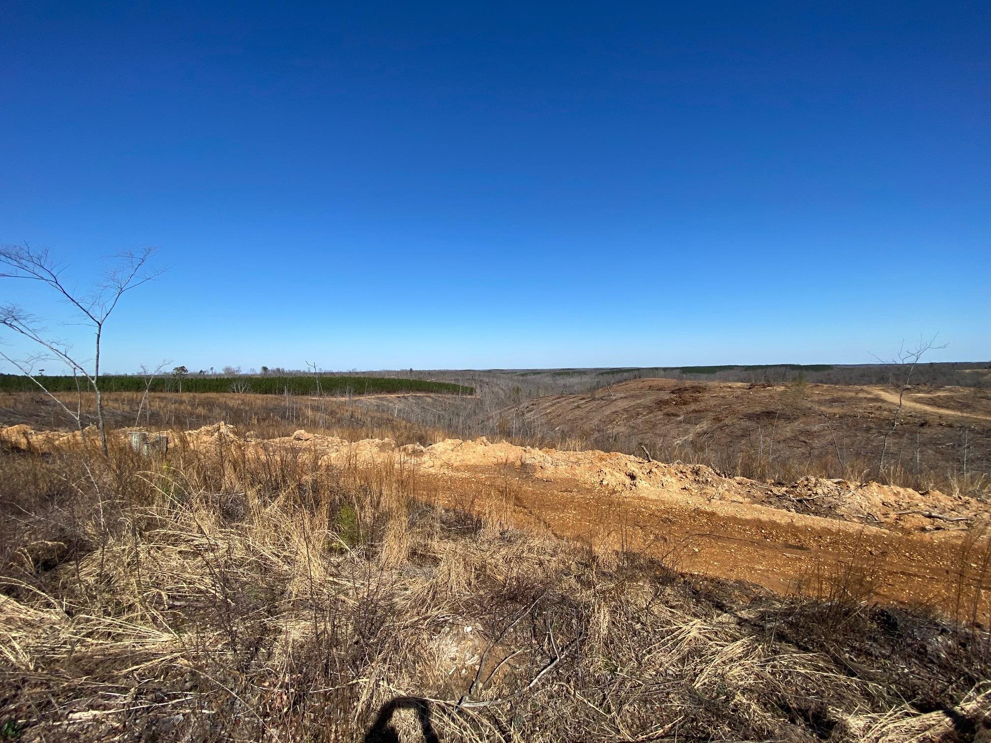6 Hwy 48 Road Waynesboro, TN 38485 - Photo 11 of 12 View of nature featuring rural landscape