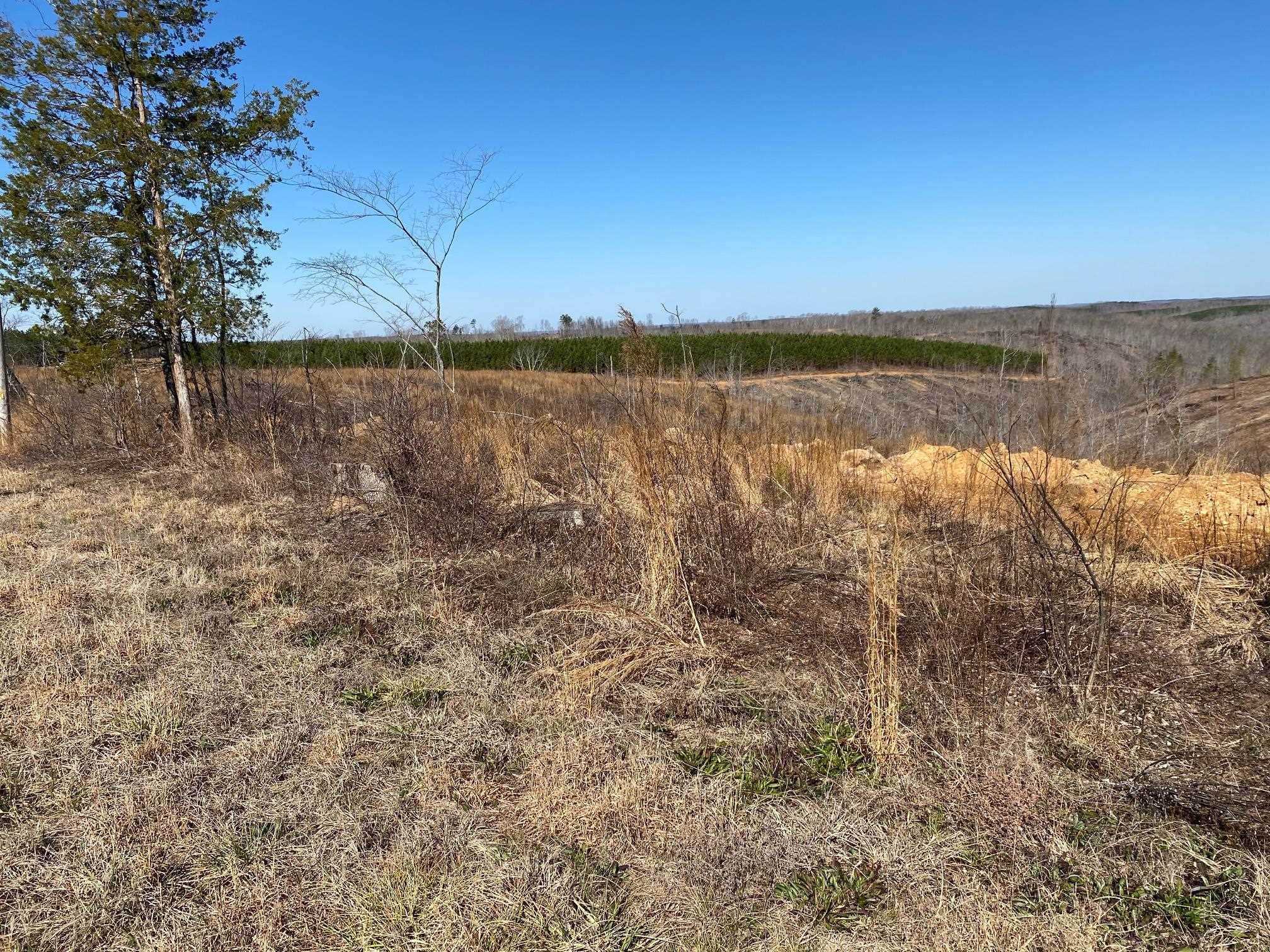6 Hwy 48 Road Waynesboro, TN 38485 - Photo 2 of 12 View of undeveloped land featuring rural landscape