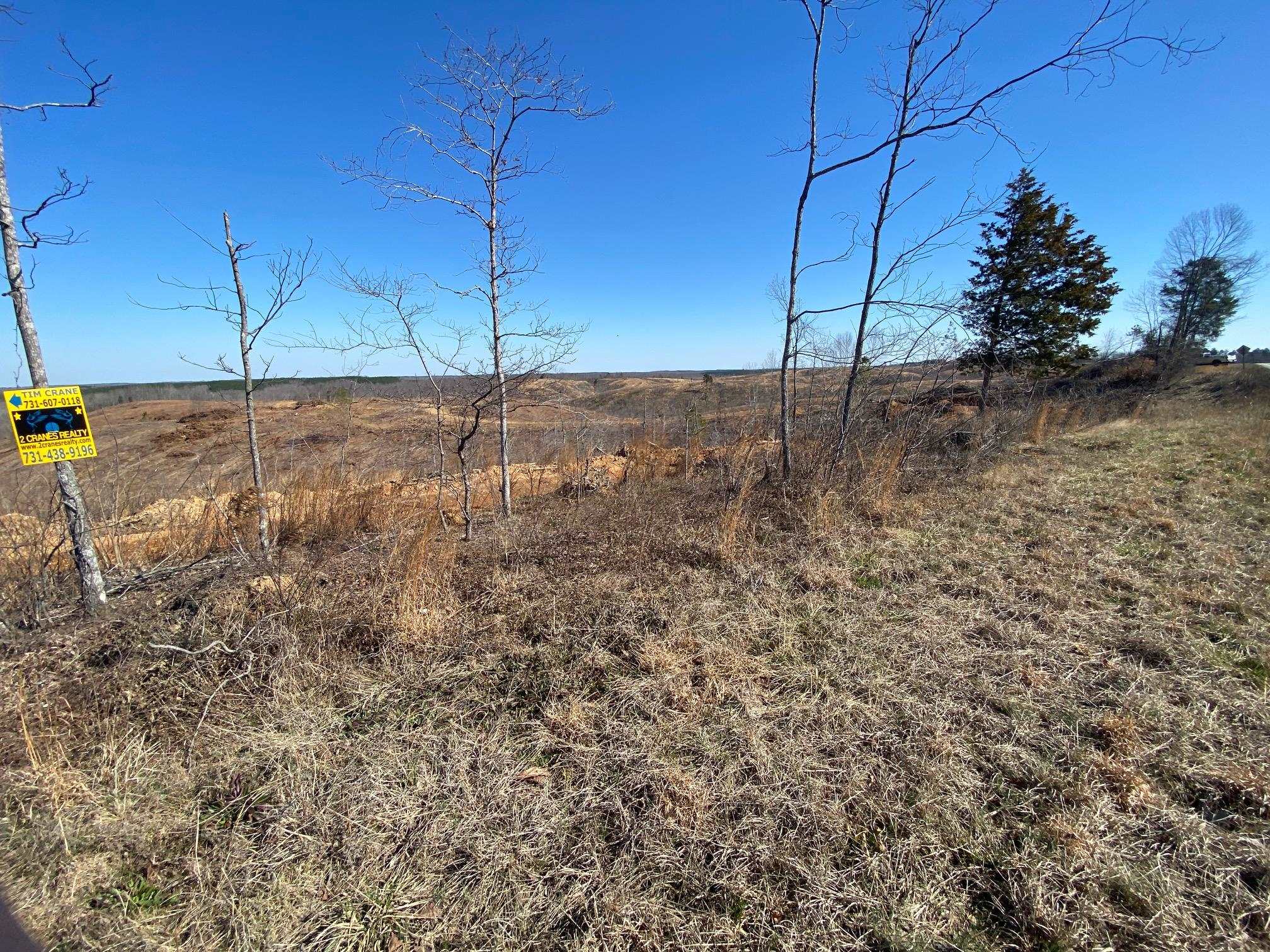 6 Hwy 48 Road Waynesboro, TN 38485 - Photo 5 of 12 View of yard with a view of rural / pastoral area