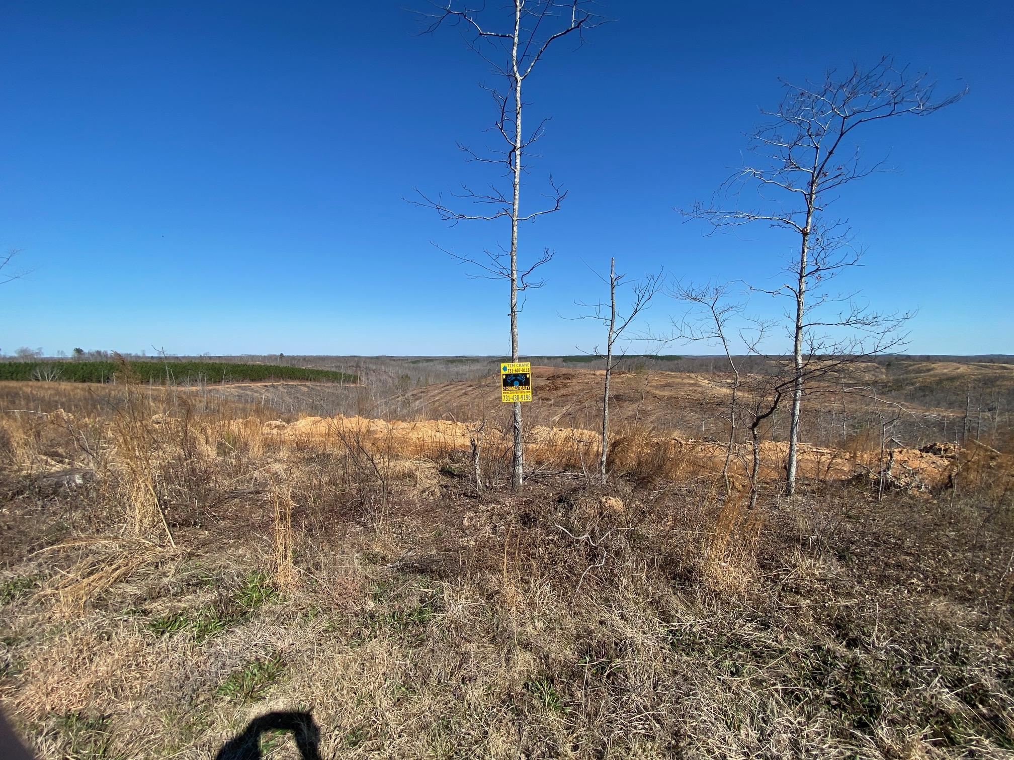 6 Hwy 48 Road Waynesboro, TN 38485 - Photo 6 of 12 View of yard featuring a view of rural / pastoral area