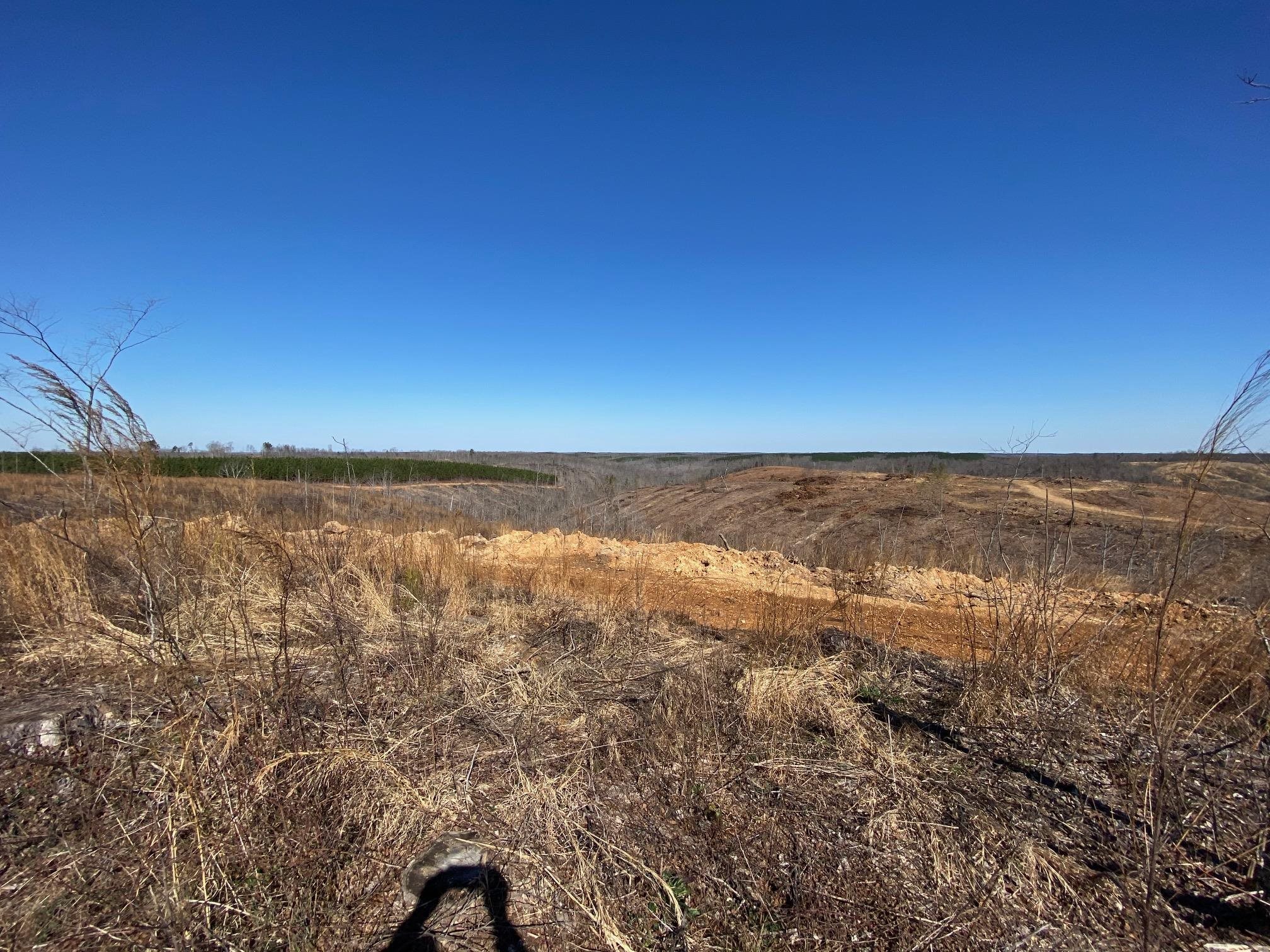 6 Hwy 48 Road Waynesboro, TN 38485 - Photo 7 of 12 View of undeveloped land with rural landscape