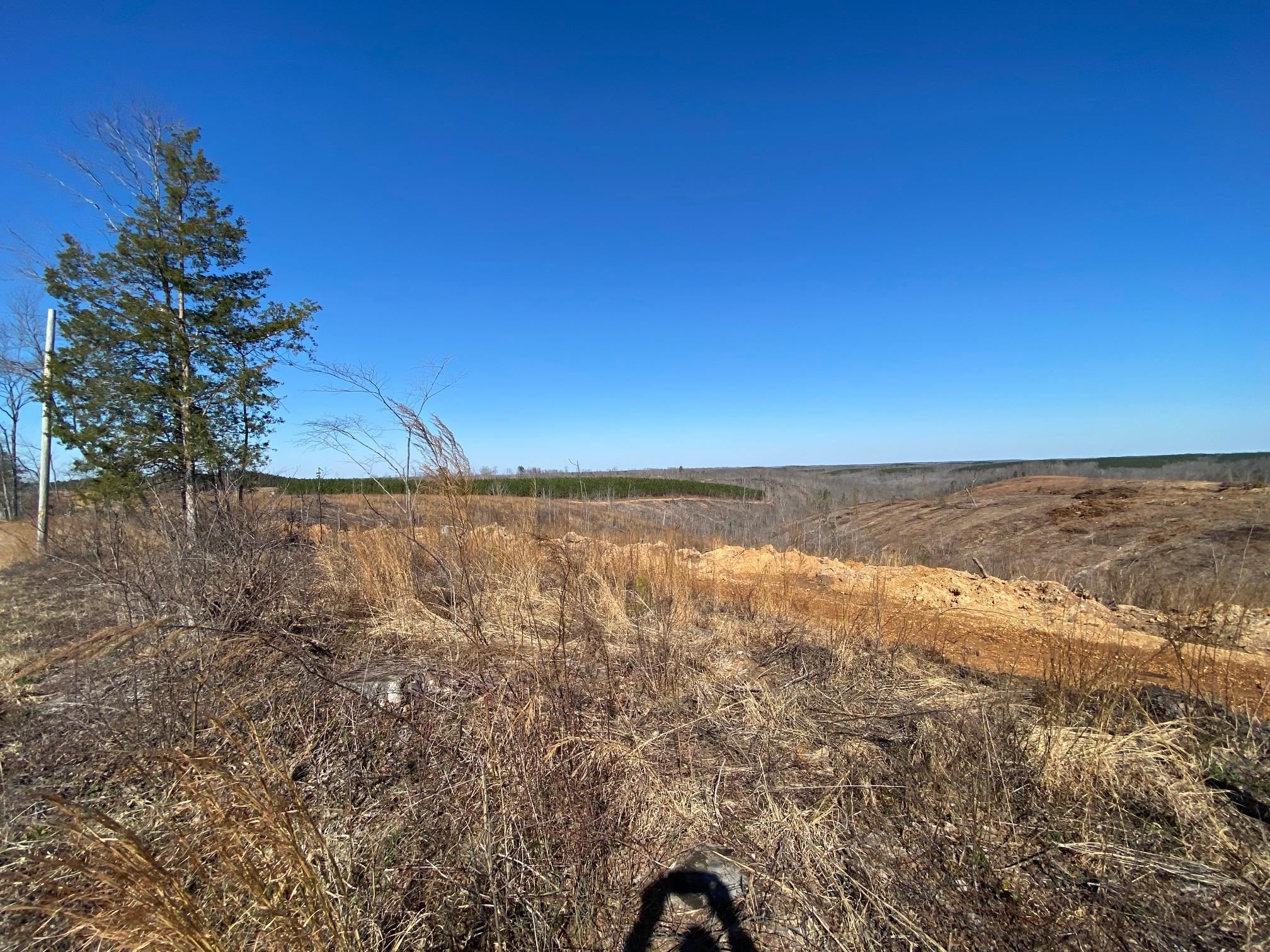 6 Hwy 48 Road Waynesboro, TN 38485 - Photo 9 of 12 View of local wilderness featuring rural landscape