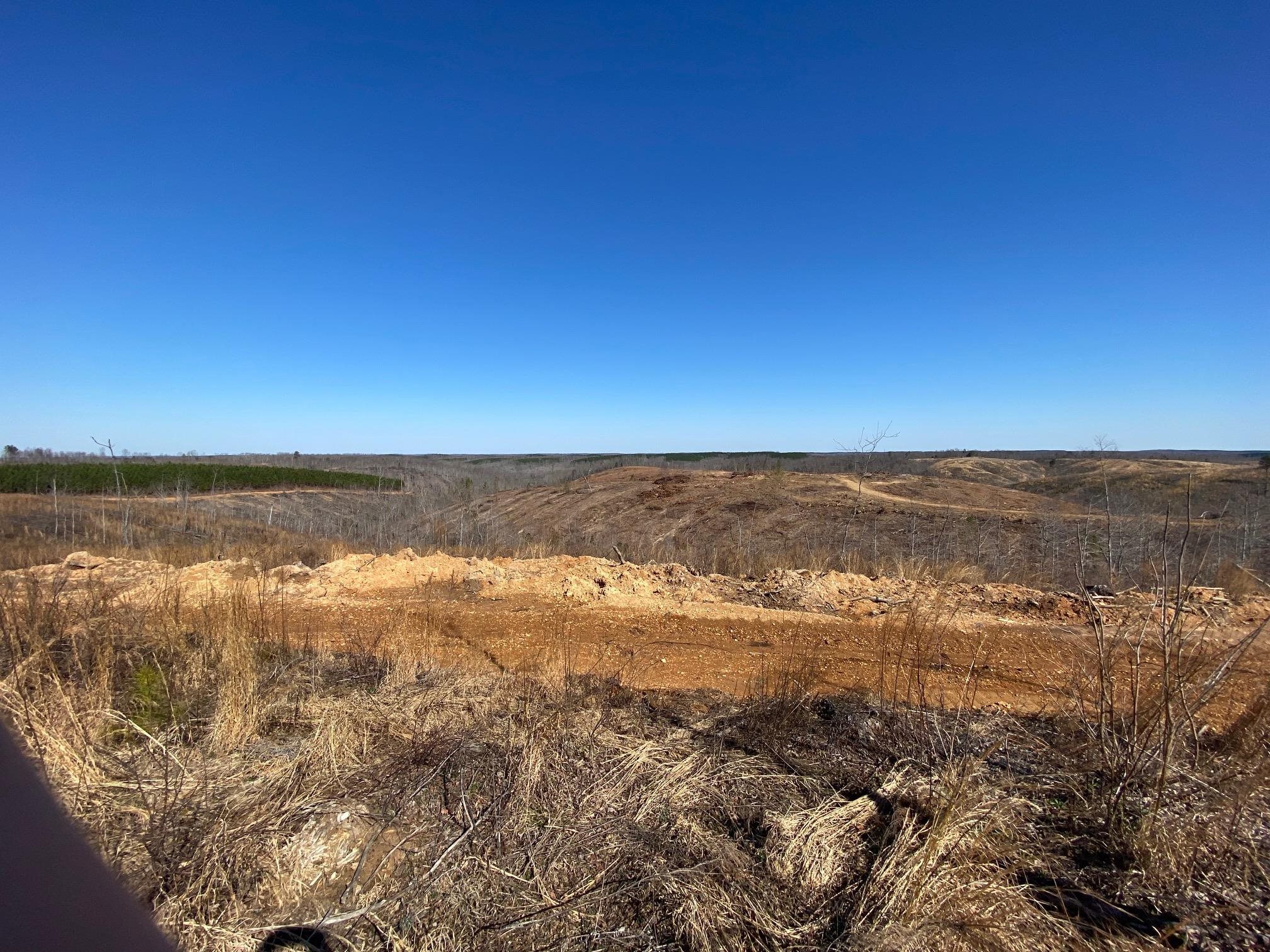 6 Hwy 48 Road Waynesboro, TN 38485 - Photo 10 of 12 View of nature featuring rural landscape