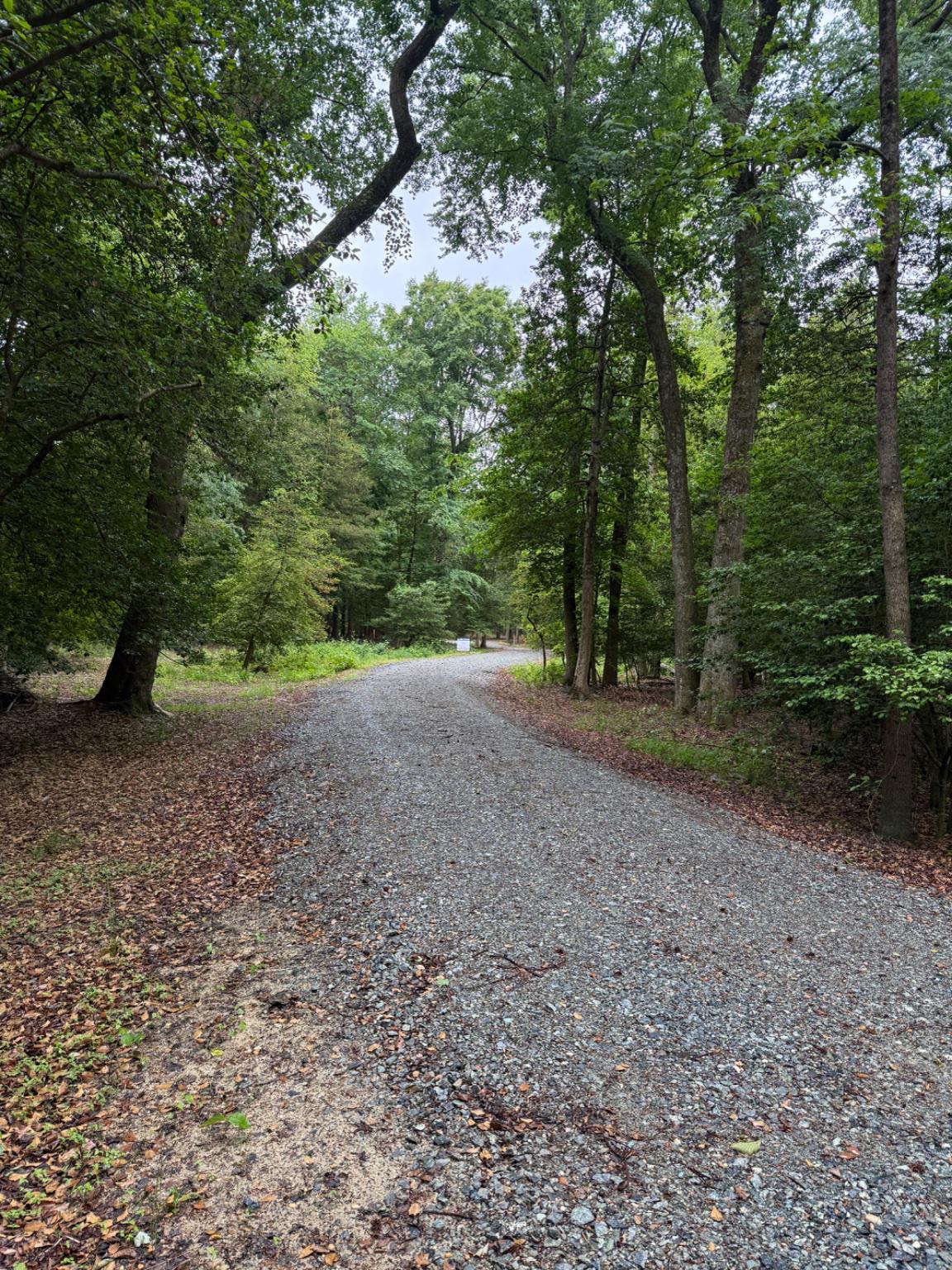 0 Utica Road, Unit PARCEL 3 Greenwood, DE 19950 - Photo 3 of 8 Private shaded drive to homesites on lots 3 & 4