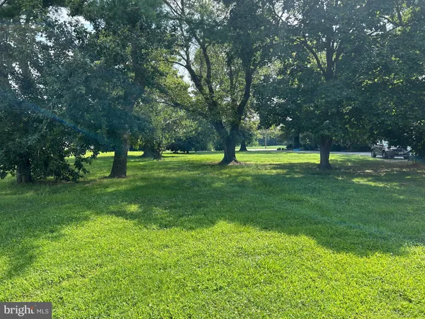 a big yard with lots of green space and trees