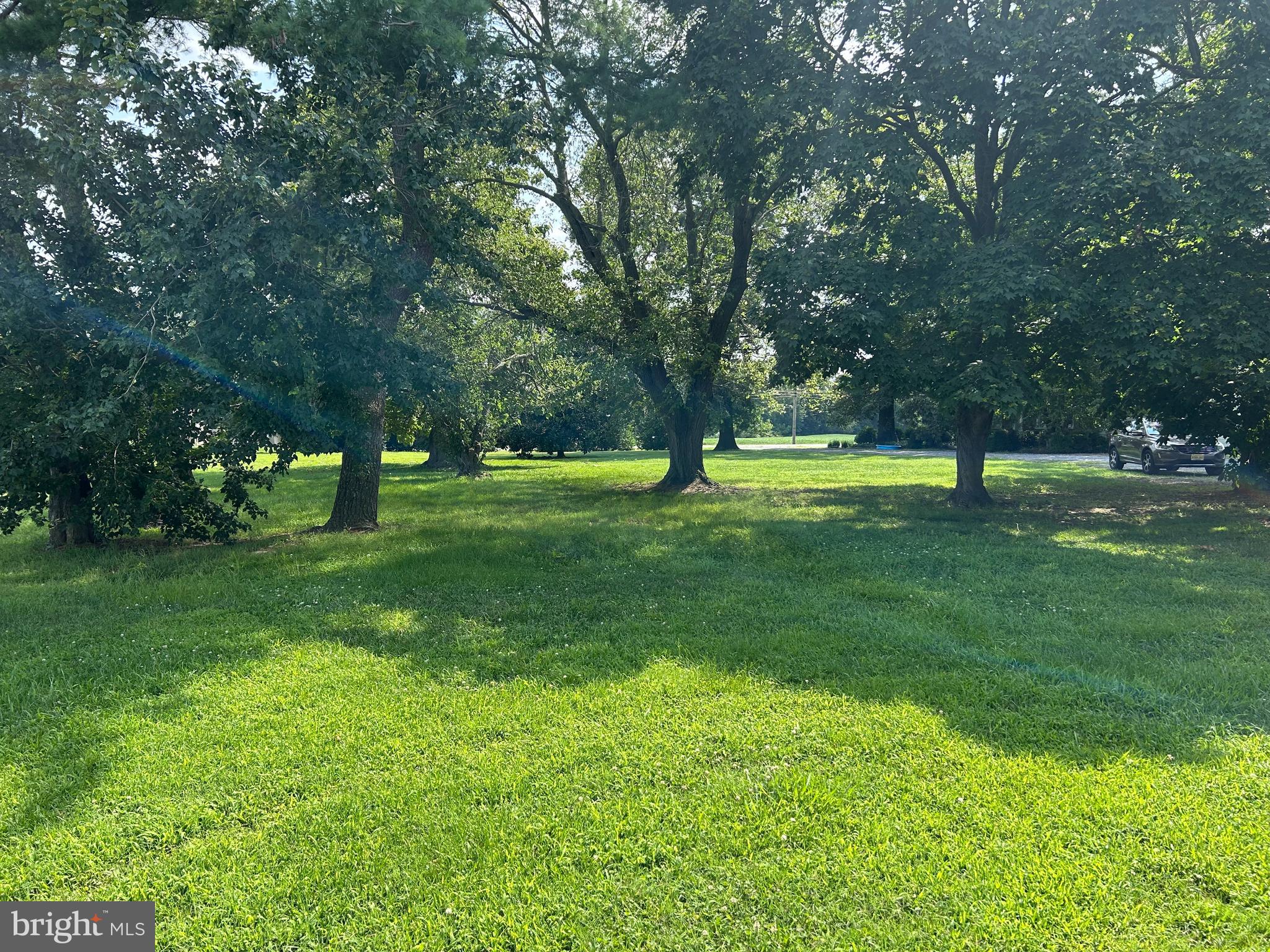 842 Salem Quinton Road Quinton, NJ 08079 - Photo 4 of 21 a big yard with lots of green space and trees