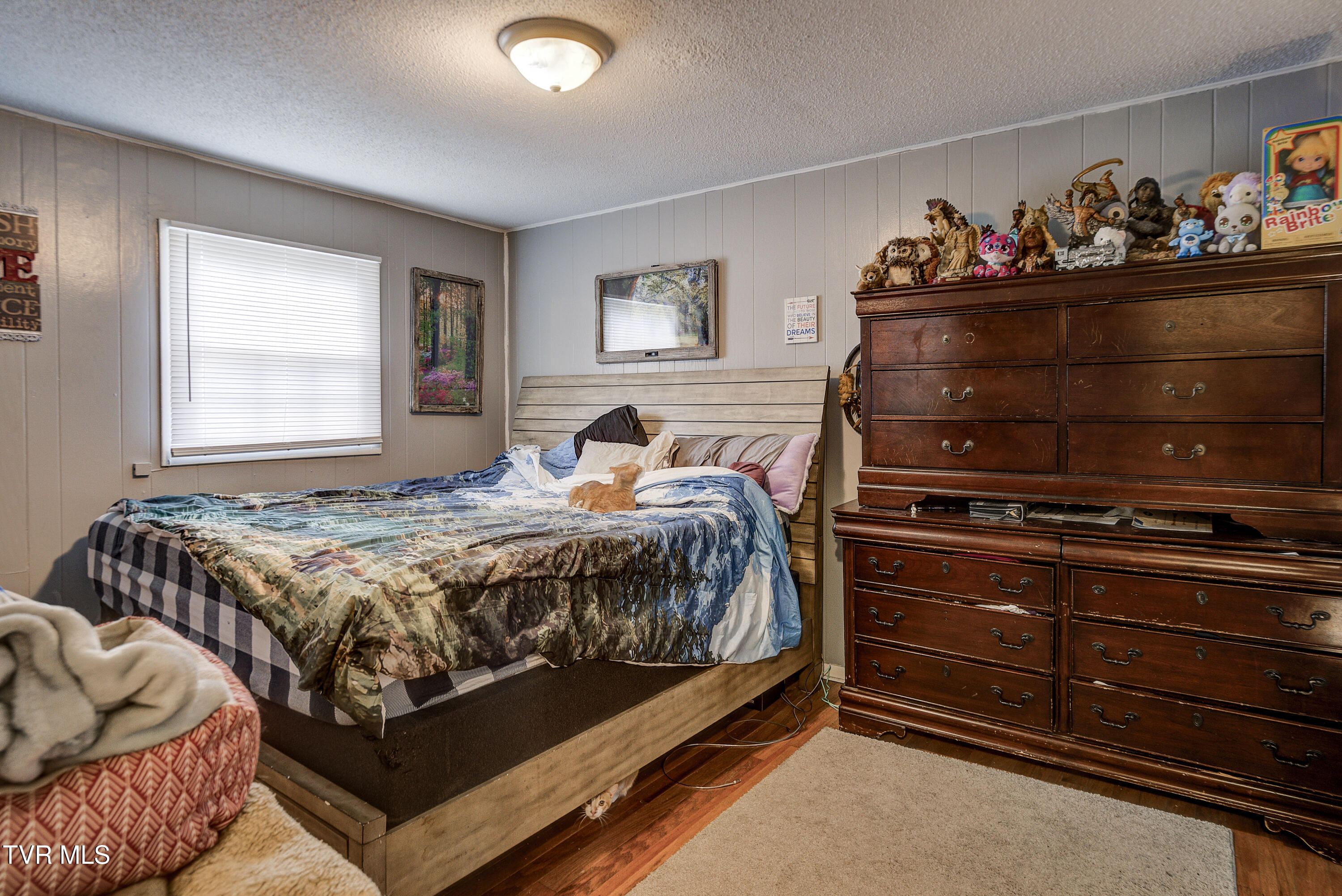 103 Warrior Lane Johnson City, TN 37601 - Photo 18 of 39 Warrior-6