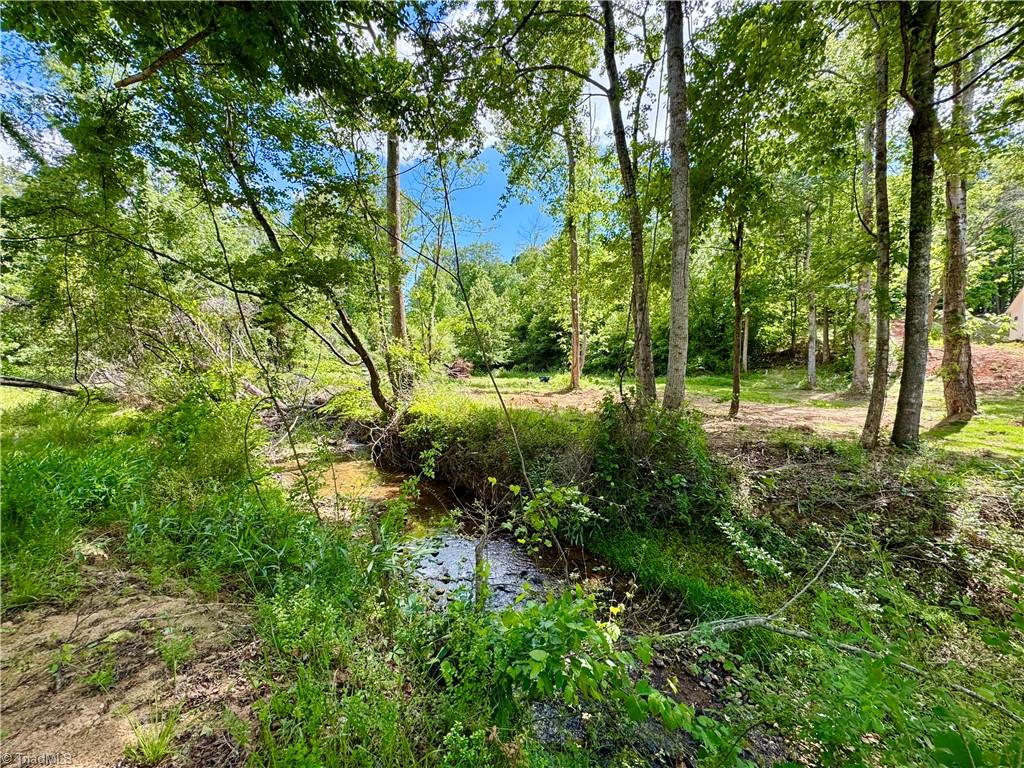405 Brown Road King, NC 27021 - Photo 11 of 13