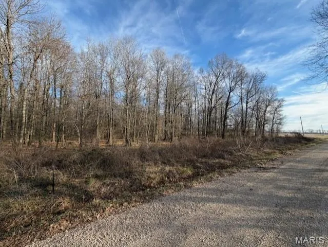 $89,500 | 0 North County Road 338, Harviell, MO 63945