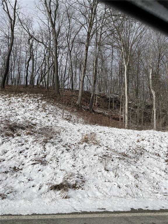 1242 Noblestown Road Carnegie, PA 15106 - Photo 3 of 6 a view of outdoor space yard and tree