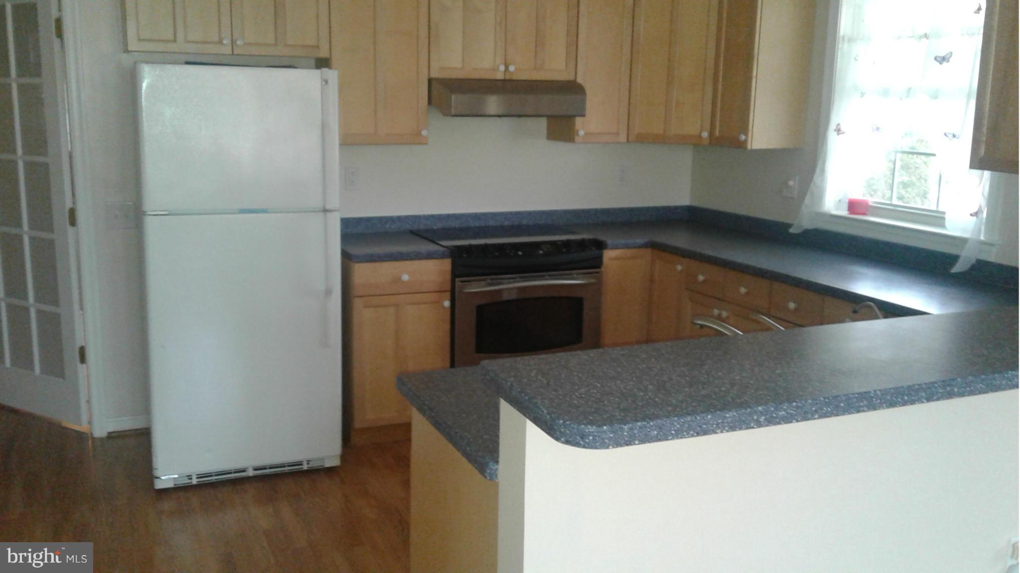 9203 Mt Tabor Road Middletown, MD 21769 - Photo 9 of 18 Kitchen