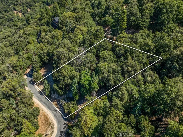 a view of a backyard with plants