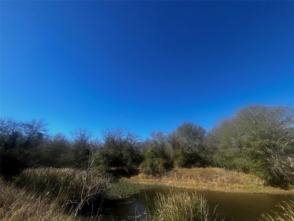 799 LCR 799 Groesbeck, TX 76642 - Photo 2 of 9 a view of a lake with a mountain in the background