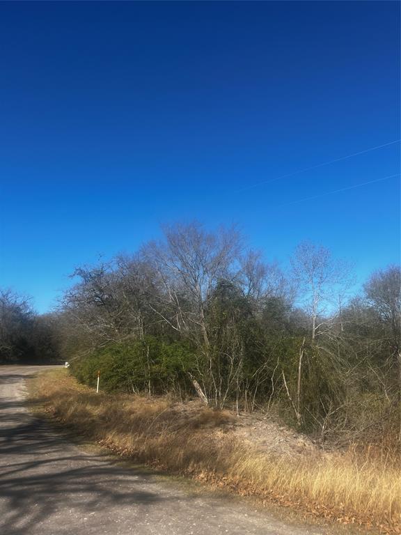 799 LCR 799 Groesbeck, TX 76642 - Photo 4 of 9 a view of a yard with a tree