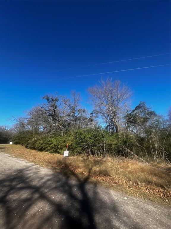 799 LCR 799 Groesbeck, TX 76642 - Photo 5 of 9 a view of a yard with a tree