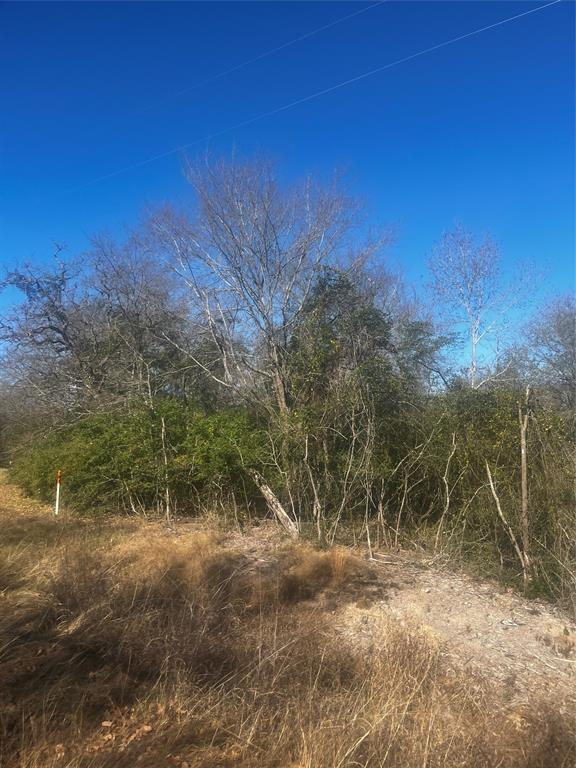 799 LCR 799 Groesbeck, TX 76642 - Photo 8 of 9 a view of a field with plants and trees