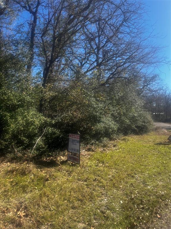 799 LCR 799 Groesbeck, TX 76642 - Photo 9 of 9 a backyard of a house with a yard and large tree