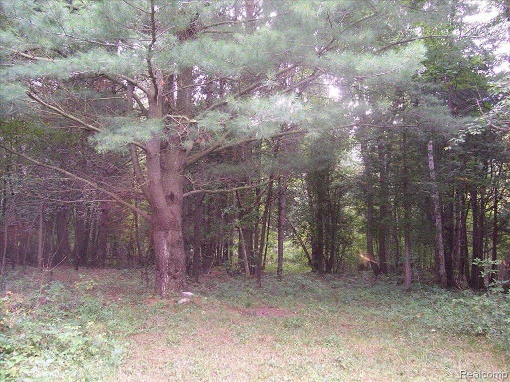 Cedar Creek Woods