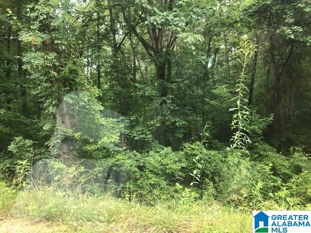 Mountain View Vance, AL 35490 - Photo 20 of 28