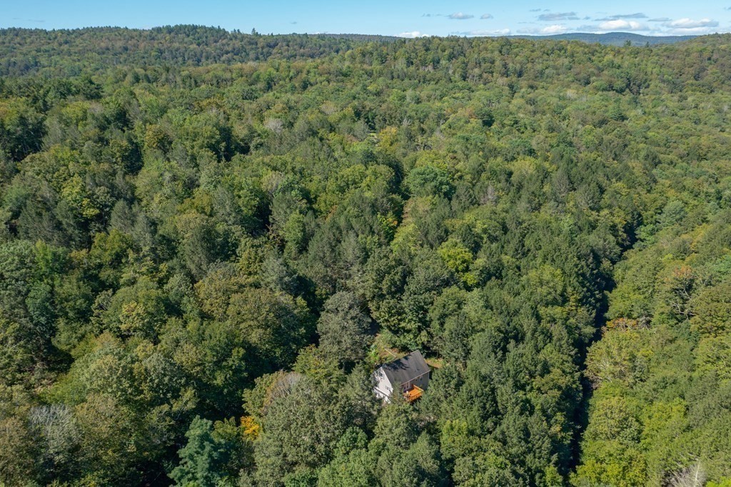 87 Cummington Road Chesterfield, MA 01084 - Photo 30 of 33 a view of a big yard with lots of trees