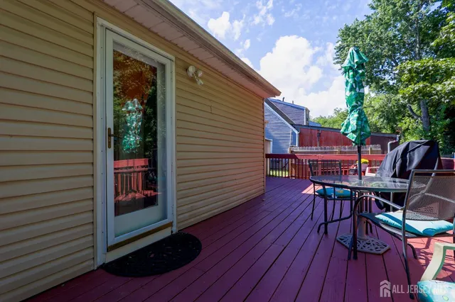 a view of a flower garden