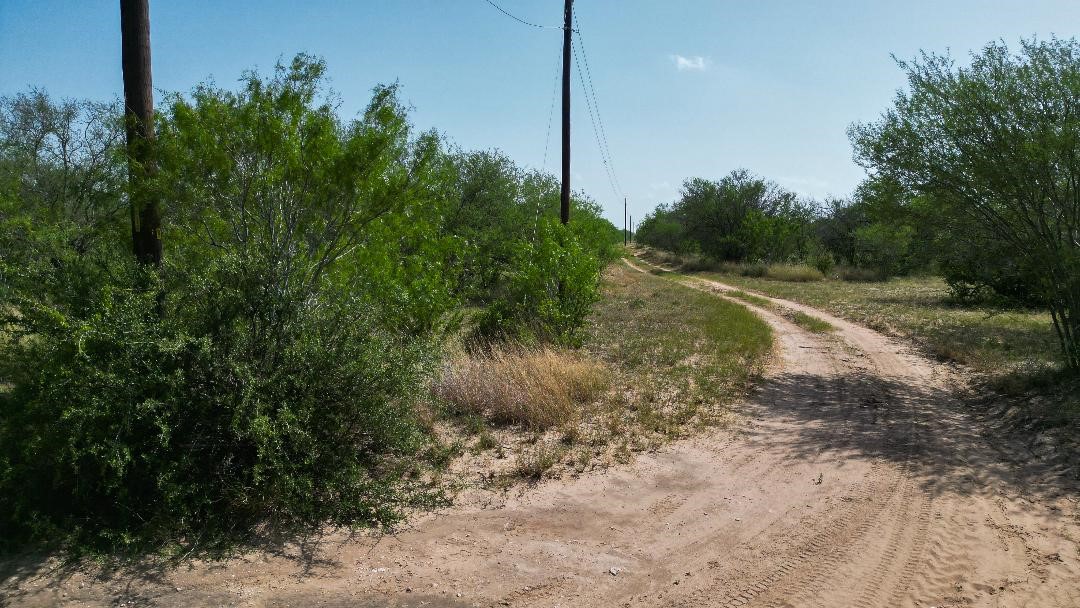 Tbd Fm 624 George West, TX 78022 - Photo 4 of 10 a big yard with lots of green space