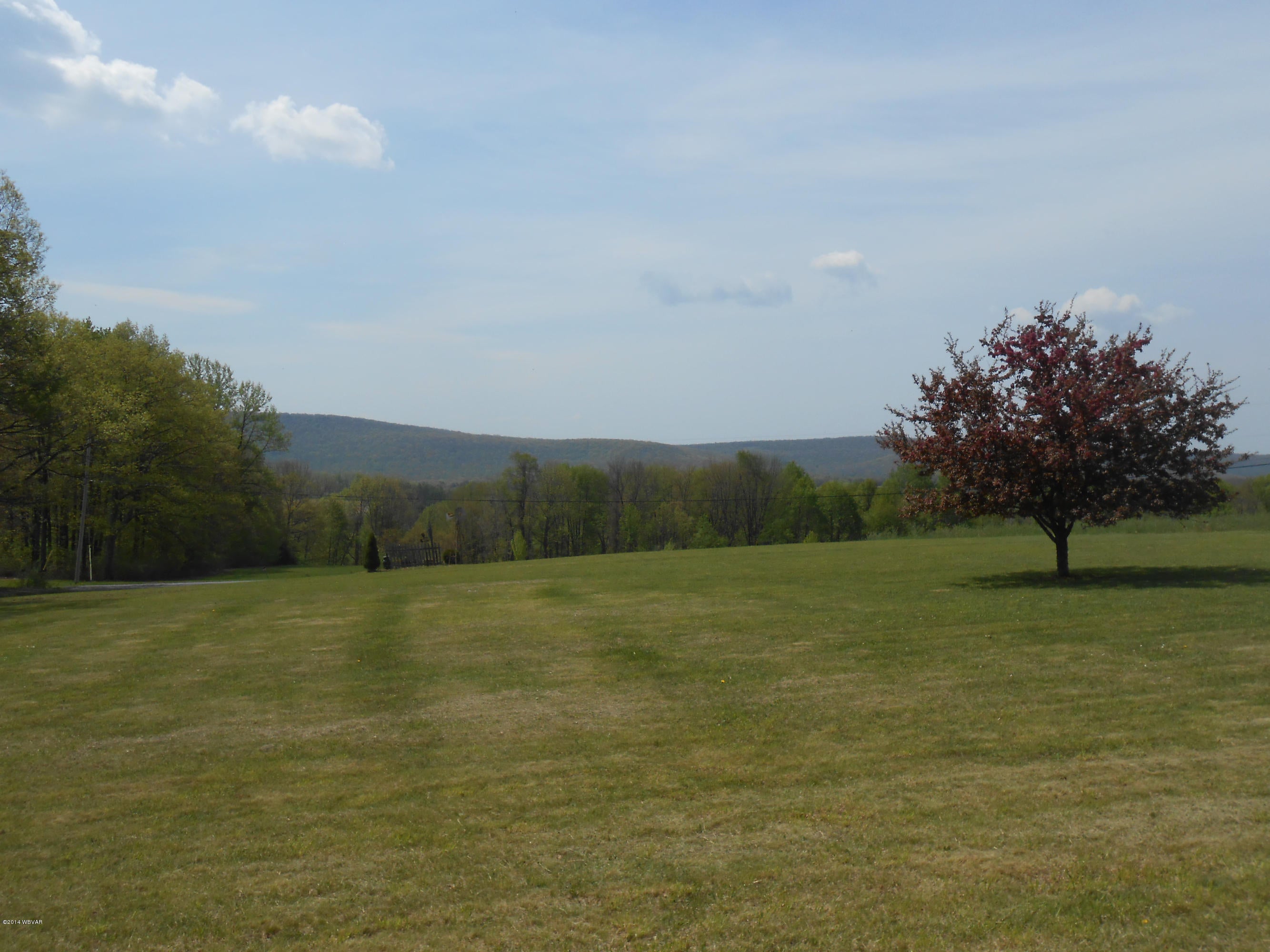 1498 Steam Valley Road Trout Run, PA 17771 - Photo 5 of 40 Front yard view 2
