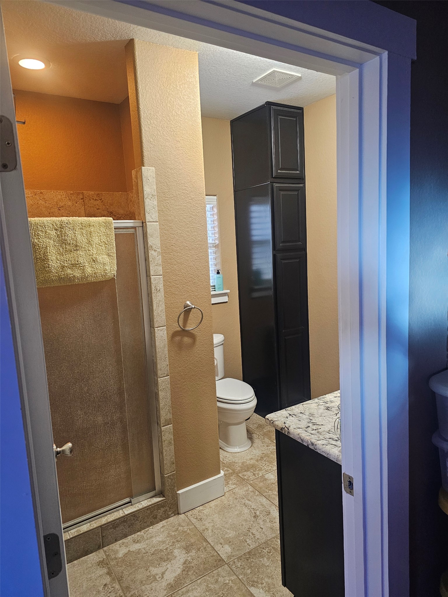 278 Winfield Thicket Road Bastrop, TX 78602 - Photo 12 of 18 Main Bath