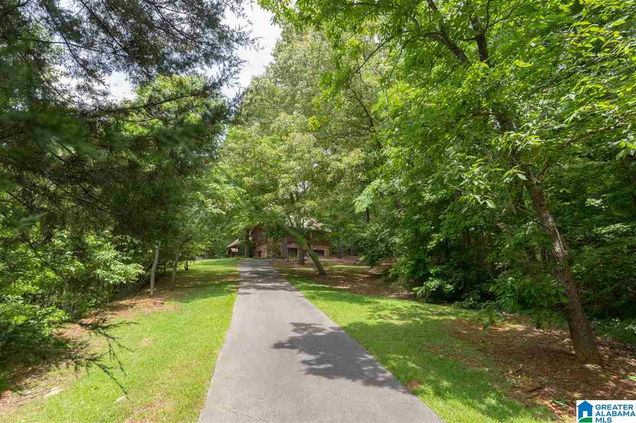 2450 Mcelderry Road Munford, AL 36268 - Photo 42 of 50