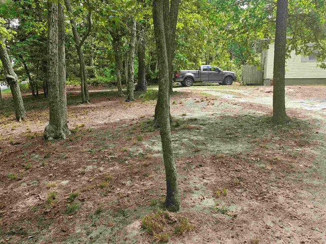 a view of a yard with trees