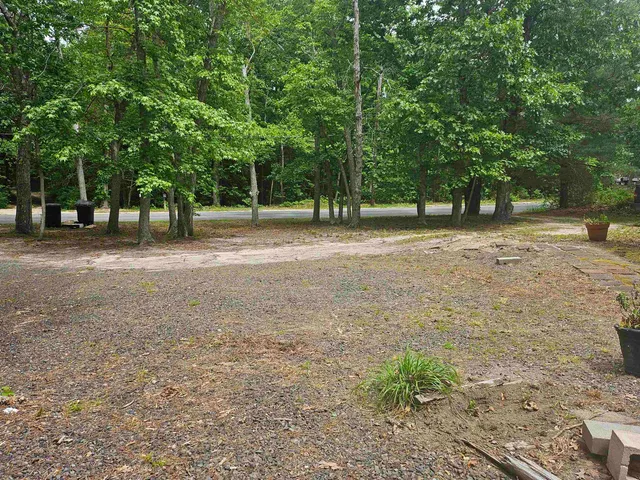 a view of a yard with a trees