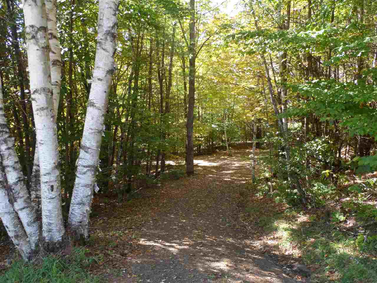 32 Ward Hill Road Tunbridge, VT 05077 - Photo 18 of 20