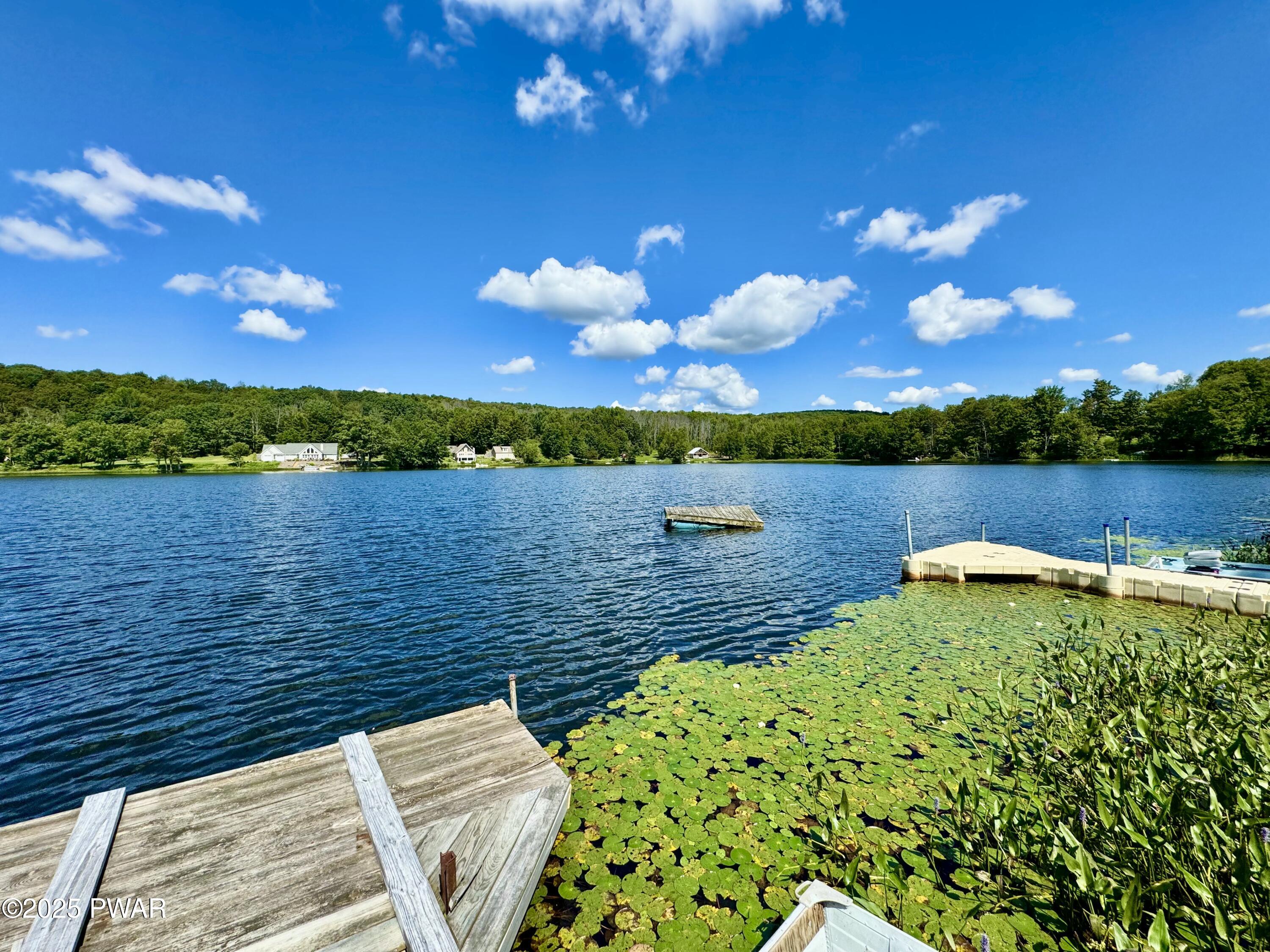 76 South Shore Road Pleasant Mount, PA 18453 - Photo 29 of 30 Gorgeous Bigelow lake