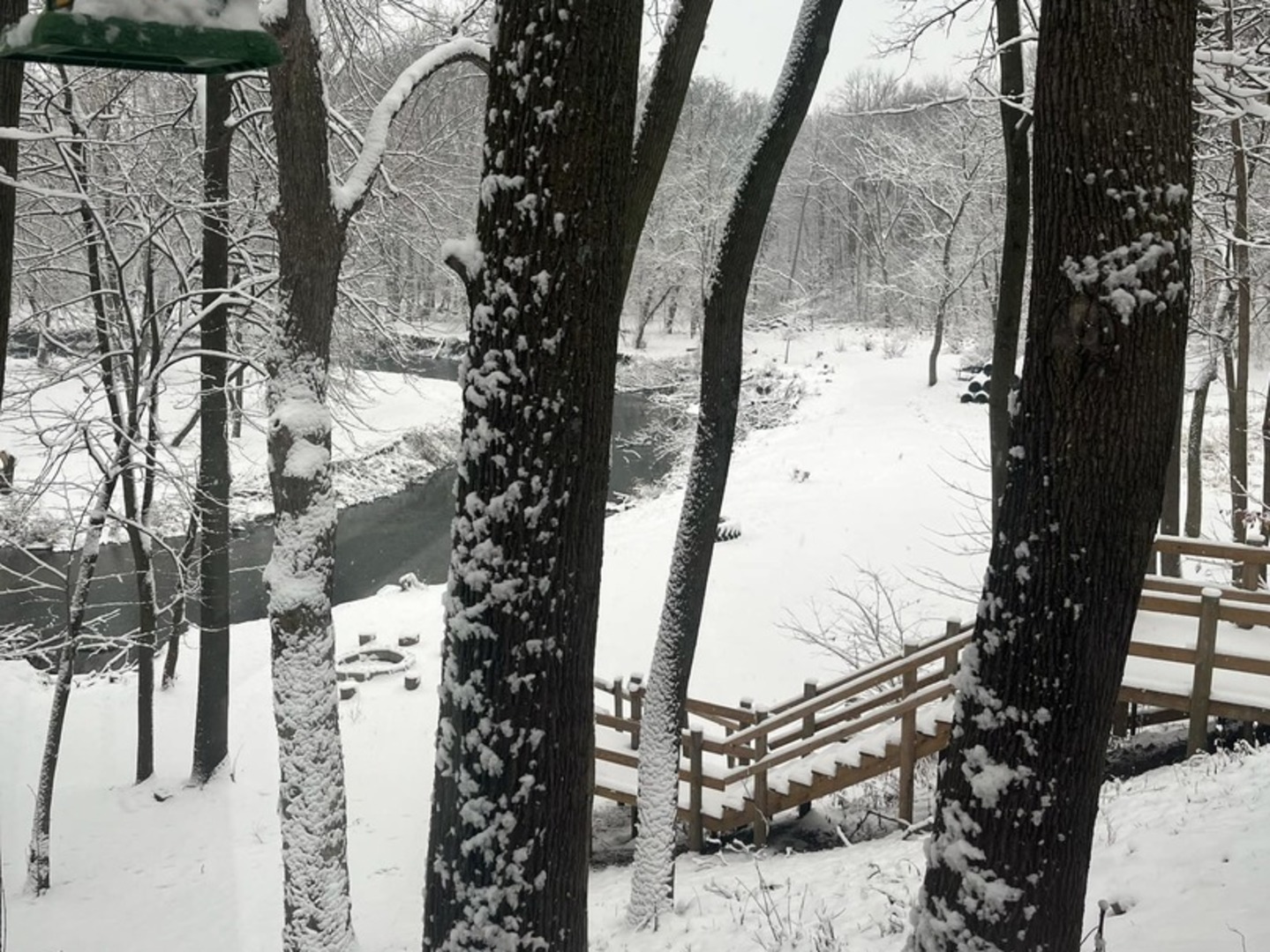 4444 Wesley Freebairn Road Earlville, IL 60518 - Photo 50 of 68 a view of a tree with snow on the wall